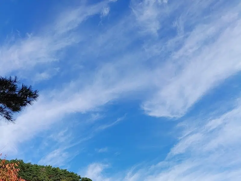 하늘을 가득 채운 구름