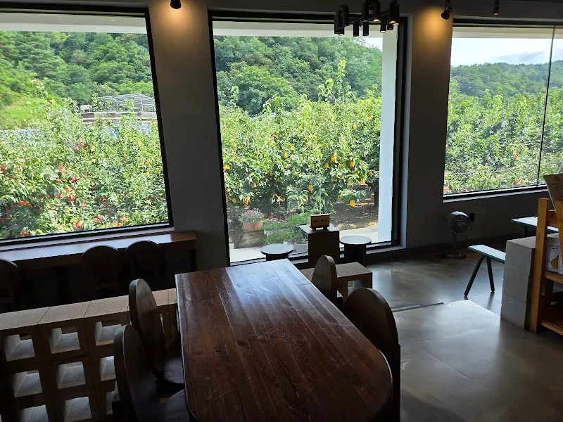 창밖으로 보이는 배밭 뷰