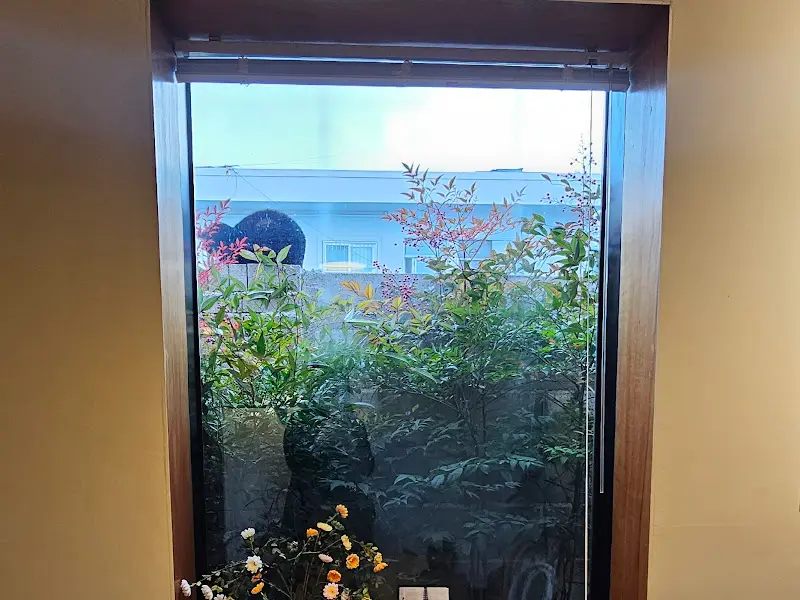 통창으로 보이는 푸르른 식물