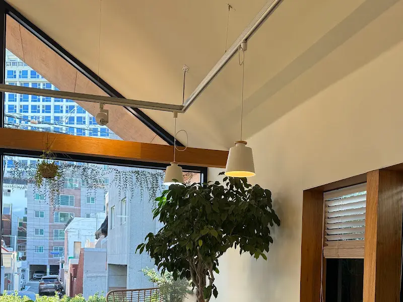 카페 내부 천장