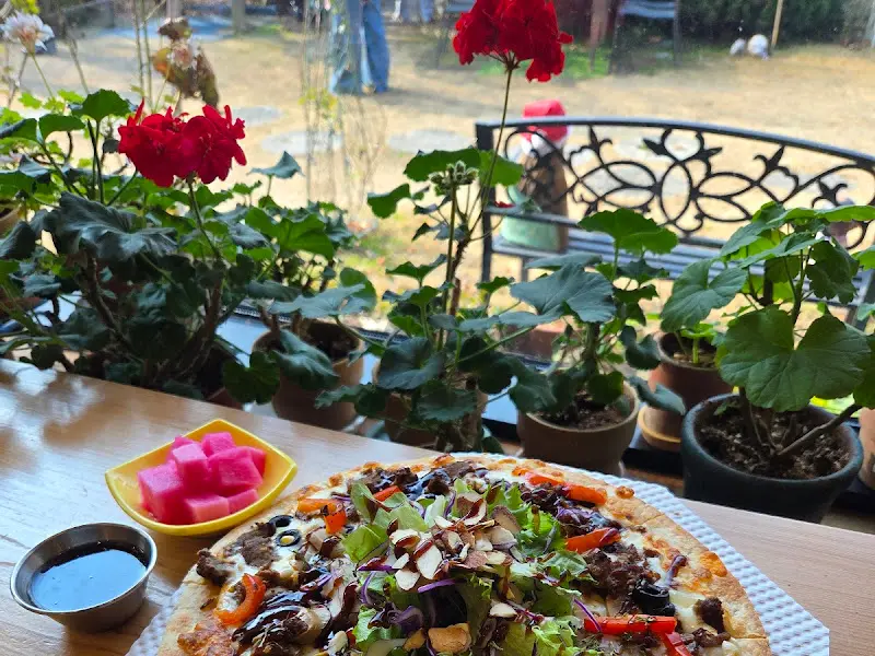 창가에 놓인 피자와 붉은 꽃 화분