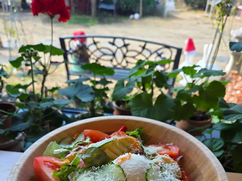 싱그러운 샐러드의 모습