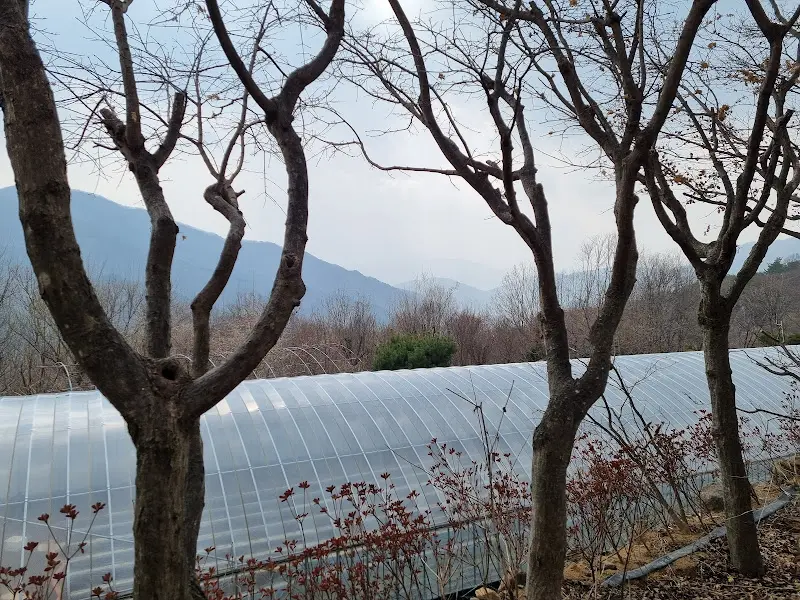 나무 사이로 보이는 식당 풍경