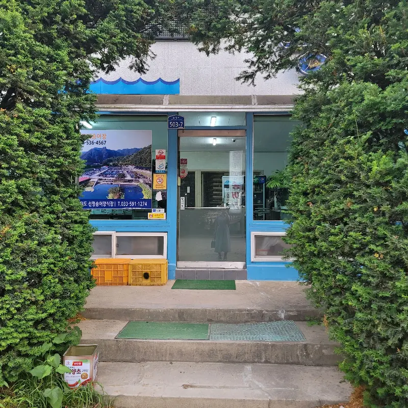 돌고래송어장 외부 전경