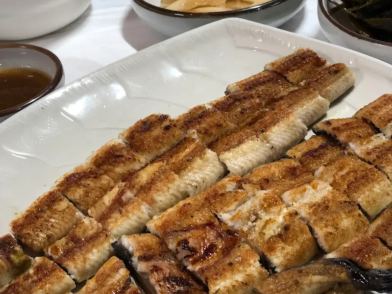 장어의 클로즈업 샷