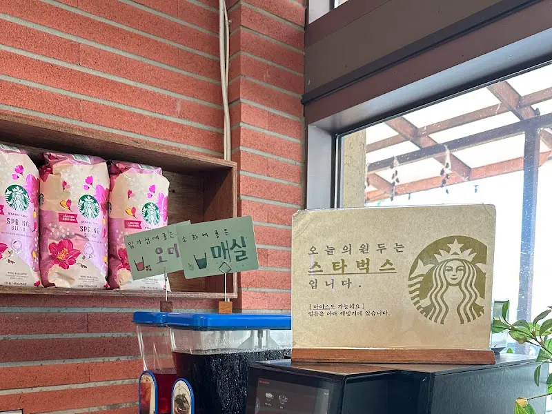 매실차와 스타벅스 커피