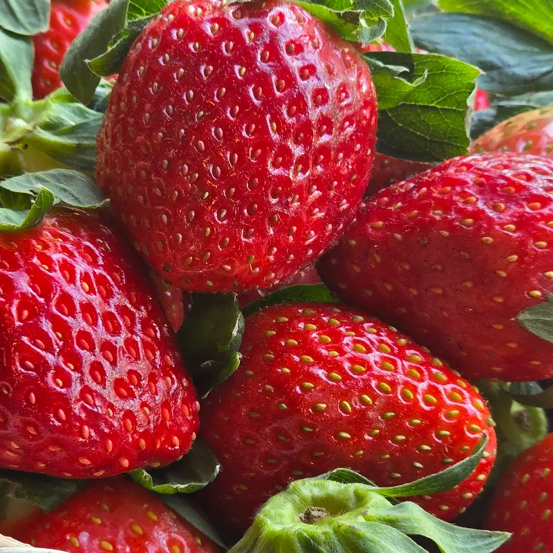 다양한 빵 진열대