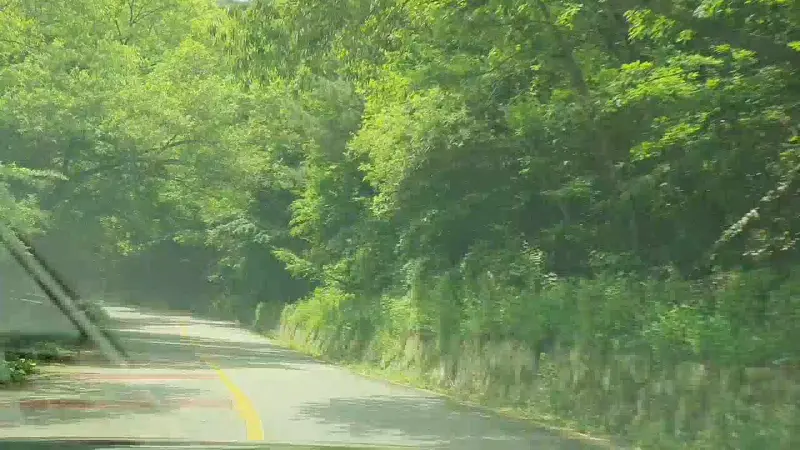 싱그러운 초록이 가득한 하동의 풍경