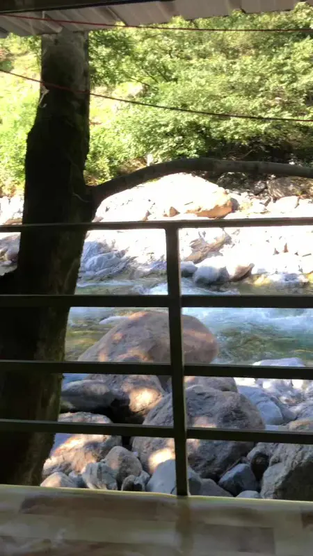 돌담집 평상에서 바라본 계곡 뷰