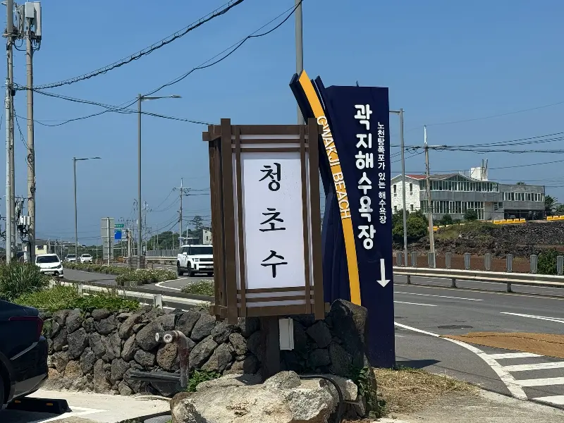 청초수물회 제주점