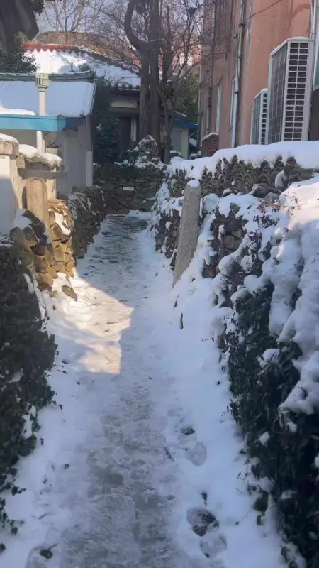 눈 덮인 돌담길