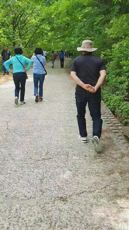 하동의 숲길을 걷는 사람들