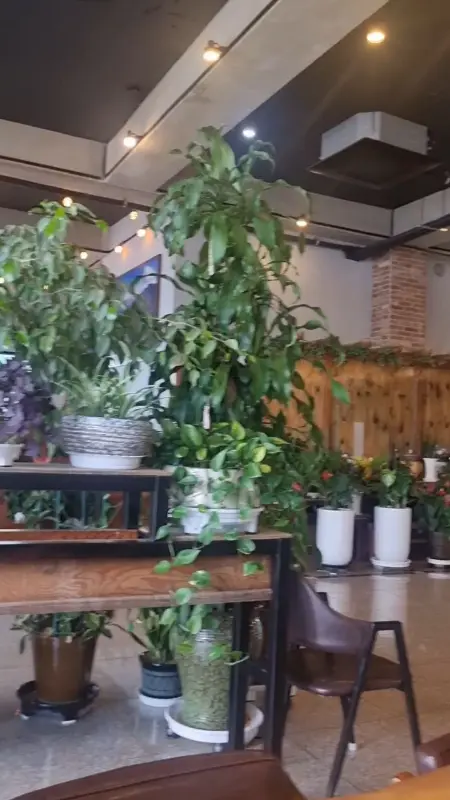 카페 내부 식물 장식
