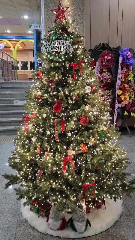 크리스마스 트리