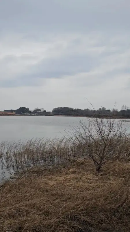 백산저수지의 아름다운 풍경