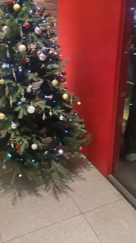 크리스마스 트리 장식으로 따뜻한 분위기를 연출한 카페 내부