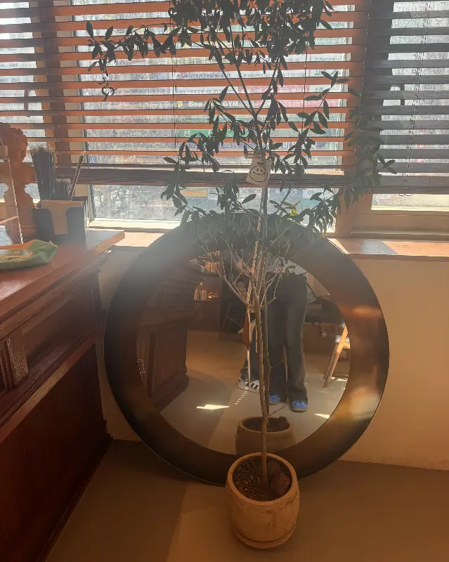 카페 내부 인테리어