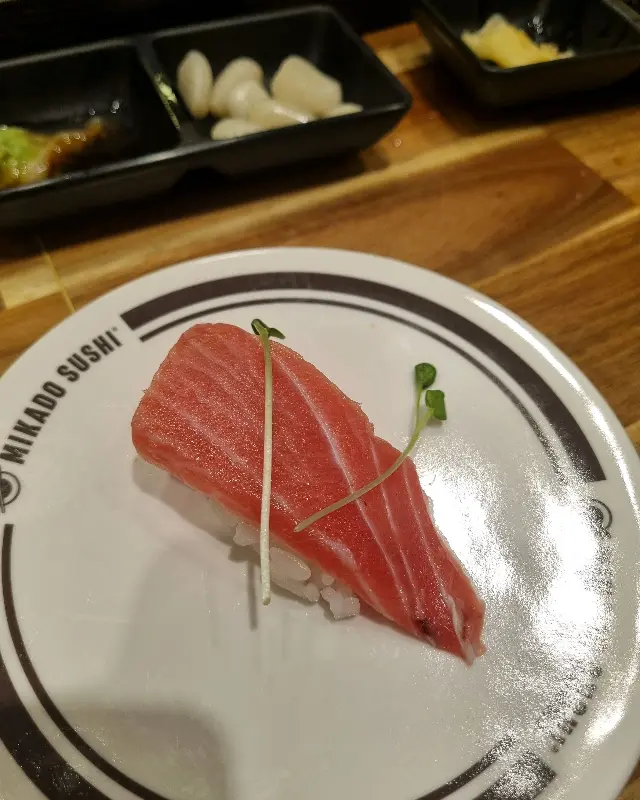 신선한 연어 초밥