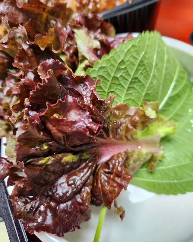 윤기가 흐르는 족발 한 점