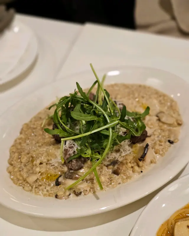 볼로네제 리조또