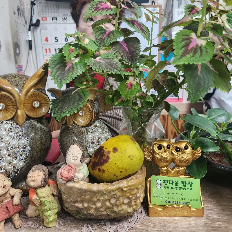 다온밥상 푸짐한 반찬