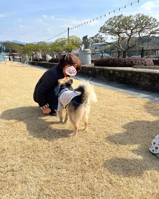 정원에서 강아지와 함께 시간을 보내는 사람들