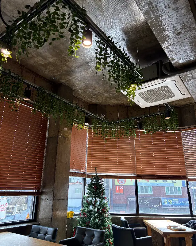 천장에 드리워진 식물과 브라운톤의 블라인드가 인상적인 커피앤의 내부