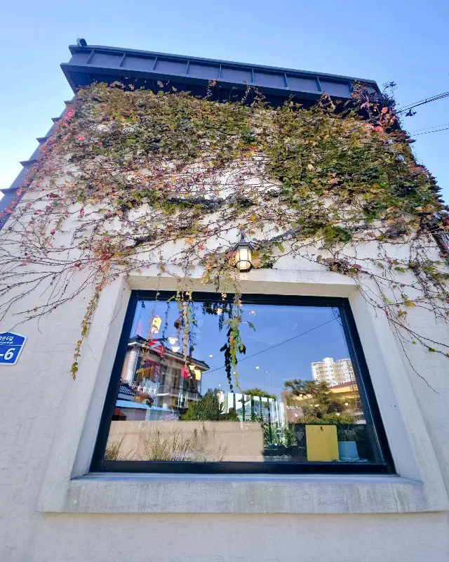 앤하우스 외관 - 덩굴 식물