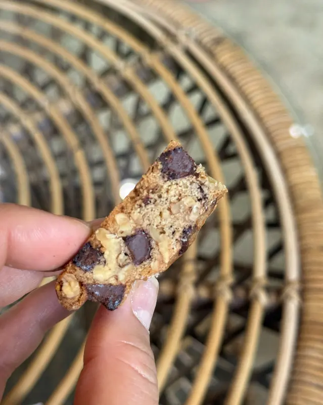 카페 내부의 다양한 화분들