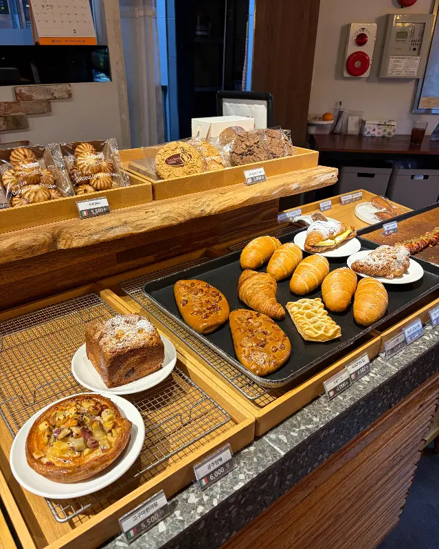 다양한 빵 종류