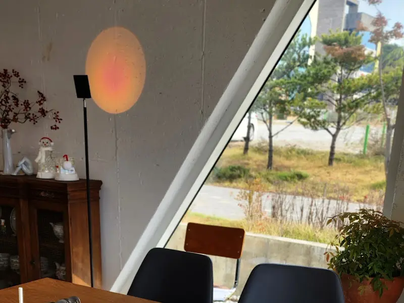 창밖으로 보이는 나무와 건물