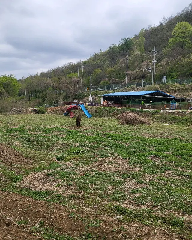 아이들이 뛰어놀기 좋은 공간