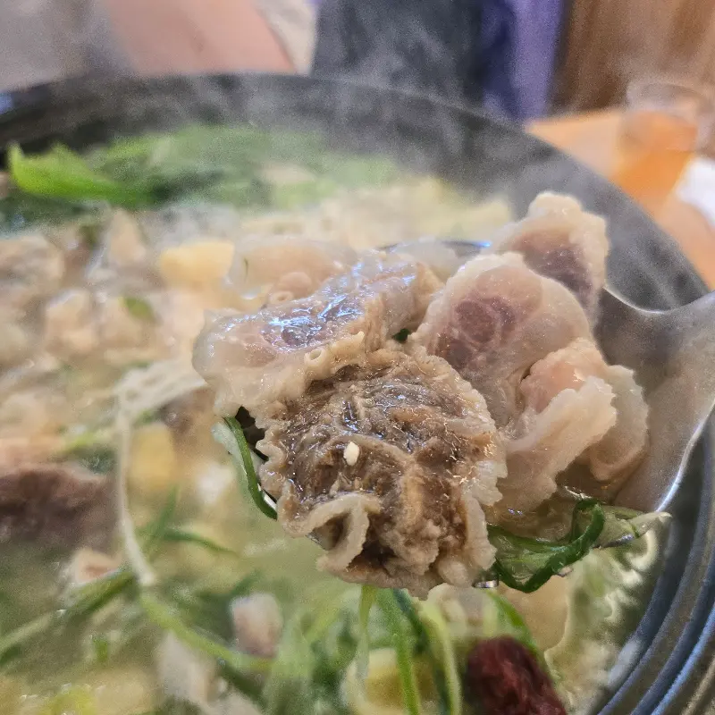 닭한마리