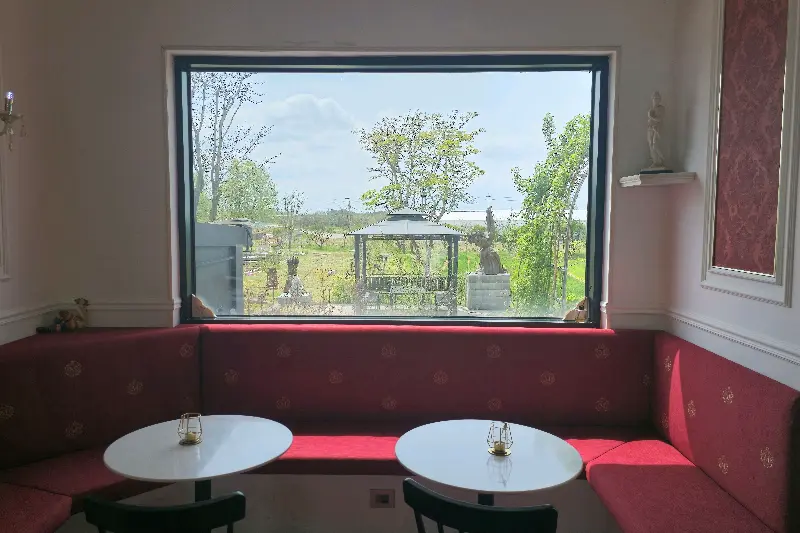 디저트 쇼케이스