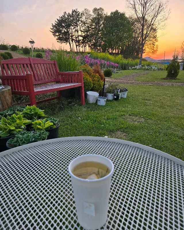 테이블 위에 놓인 음료