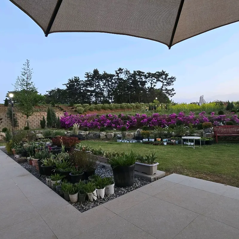 정원의 꽃과 벤치