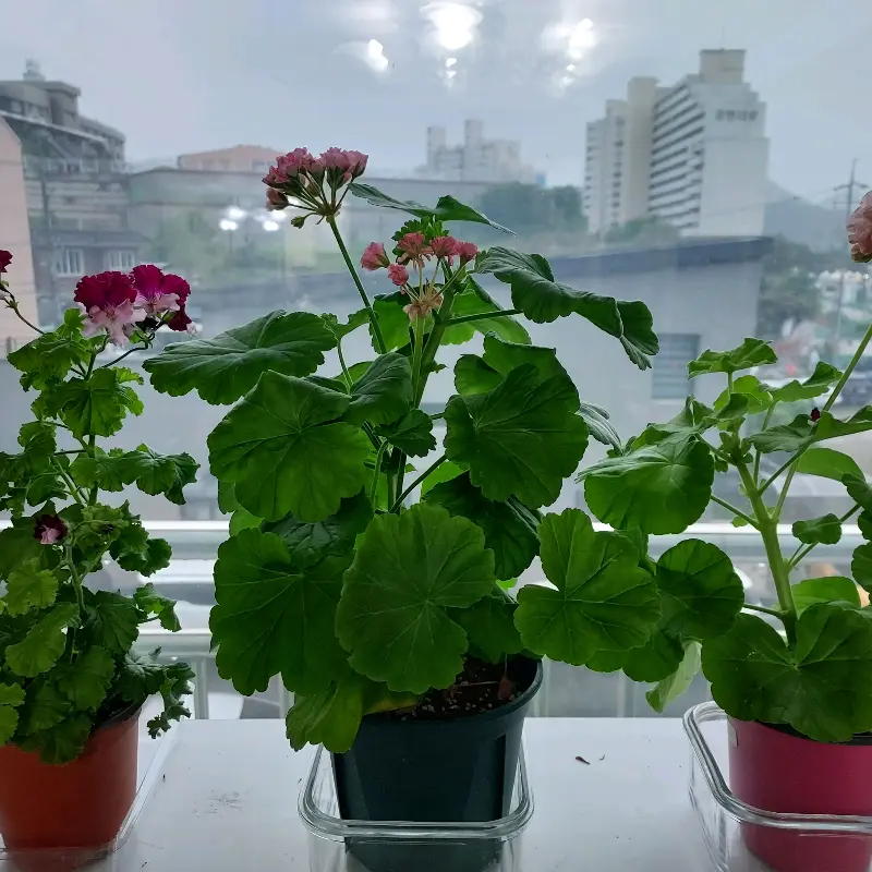 창밖 풍경