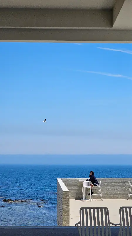 넓게 펼쳐진 바다를 바라보며 휴식을 취하는 사람의 모습