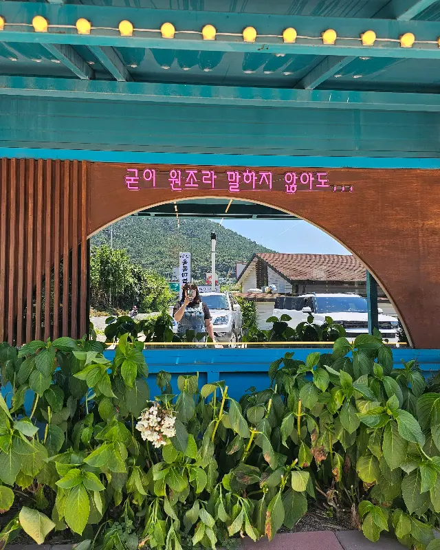 선물 포장된 유자청 세트