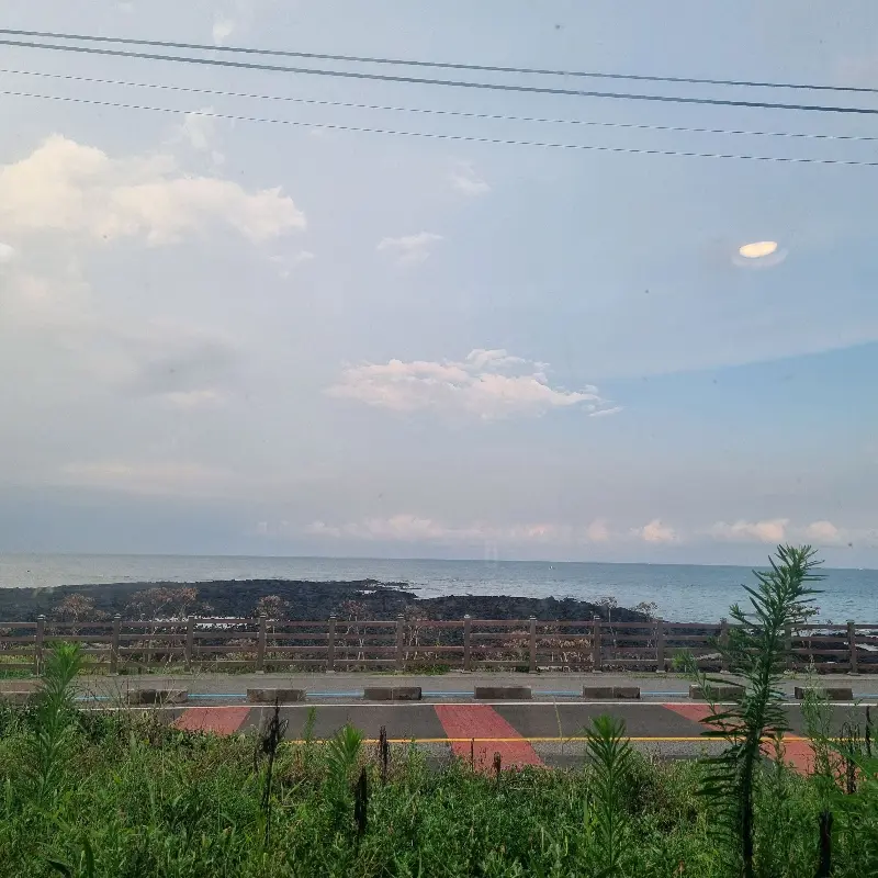 맛깔스러운 김치