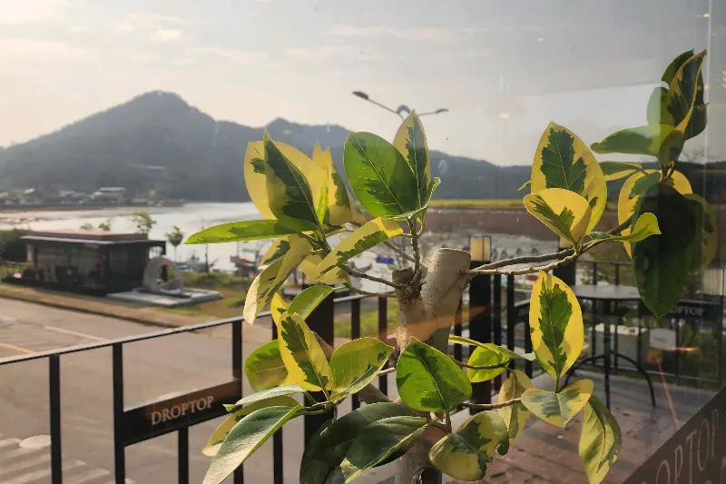 카페에서 바라본 풍경