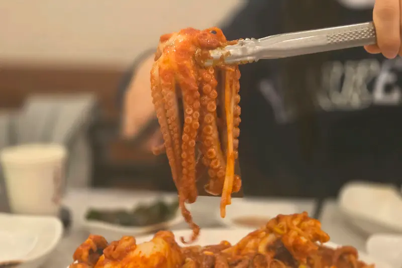 집게로 낙지를 들어올리는 모습