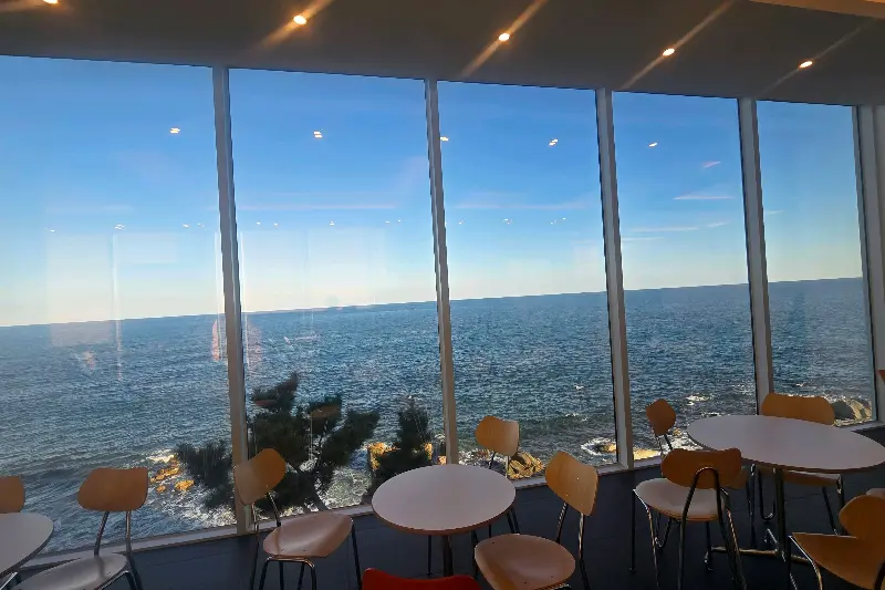 탁 트인 바다를 바라보며 커피를 즐기는 사람들