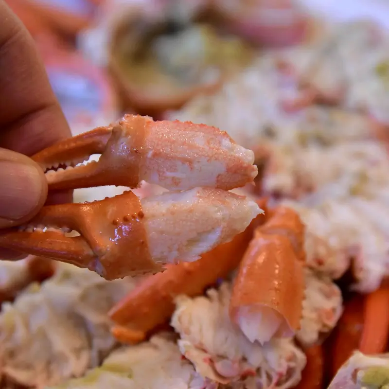 탱글탱글한 대게살