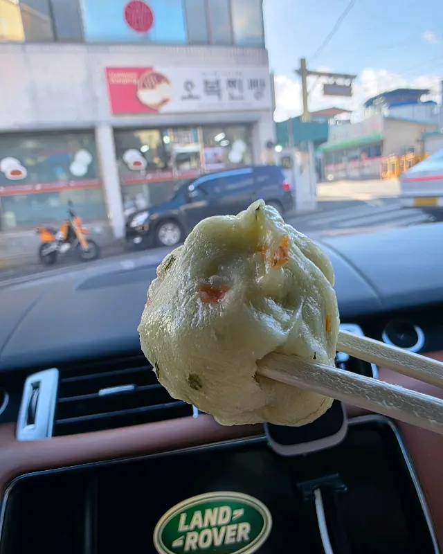 젓가락으로 집어 올린 만두의 모습