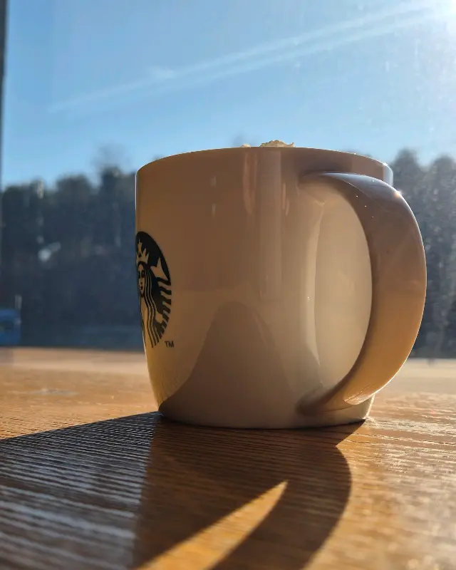 햇살 가득한 창가 자리