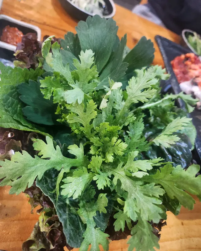 싱싱함이 눈으로도 느껴지는 쌈 채소