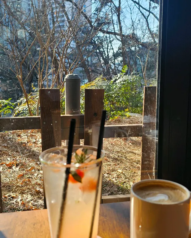 창밖으로 보이는 보라매공원 풍경