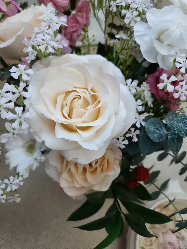 신선한 해산물이 가득한 수족관