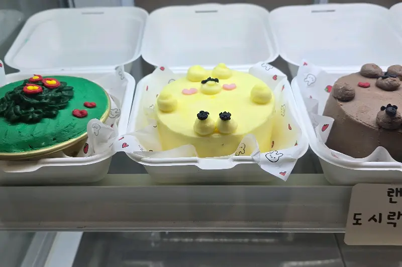다양한 디자인의 도시락 케이크